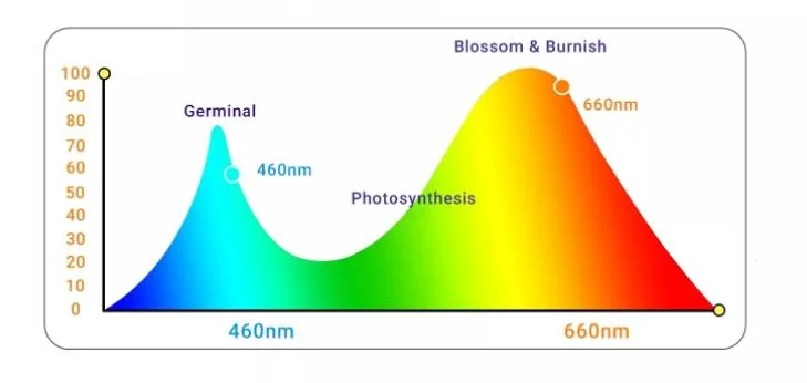 Flexible Spectrum Lamp Plant LED Indoor Grow Light for Greenhouses Flowers