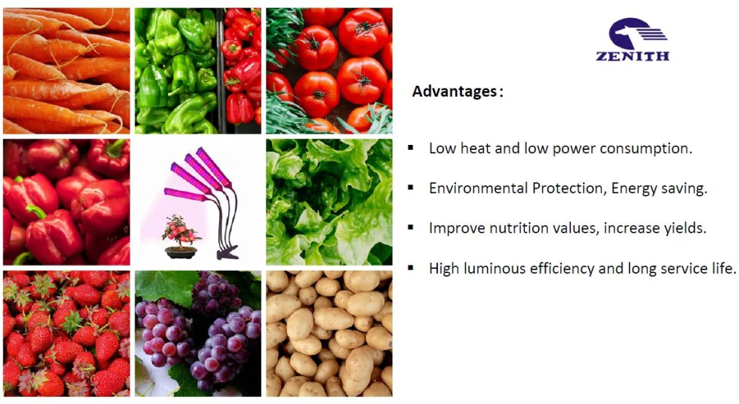 Flexible Spectrum Lamp Plant LED Indoor Grow Light for Greenhouses Flowers