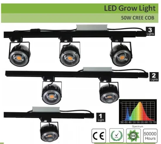 工場出荷時の50W 100W Crees COB Cxb3590 LED成長ライト3000Kフルスペクトル温室植物用LED成長ライト